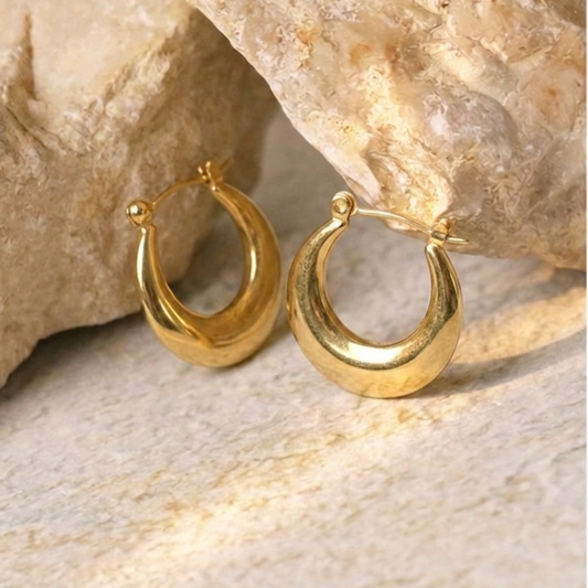 Roxanna earrings